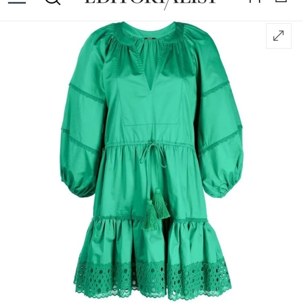 Alexis green “Daksha” mini dress with eyelet trim at hem and balloon sleeves. XS - Picture 4 of 9